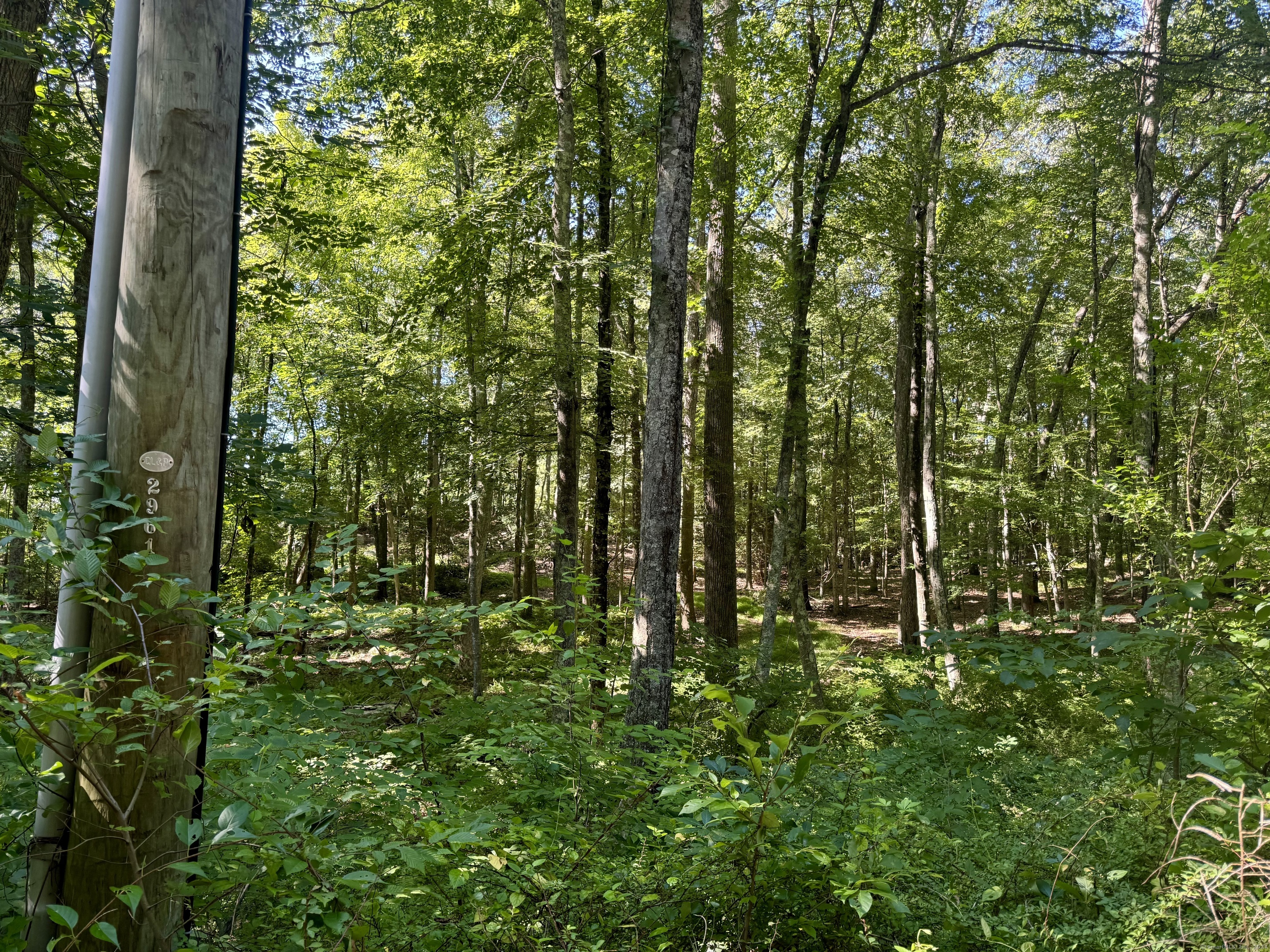 258 Joshuatown Road