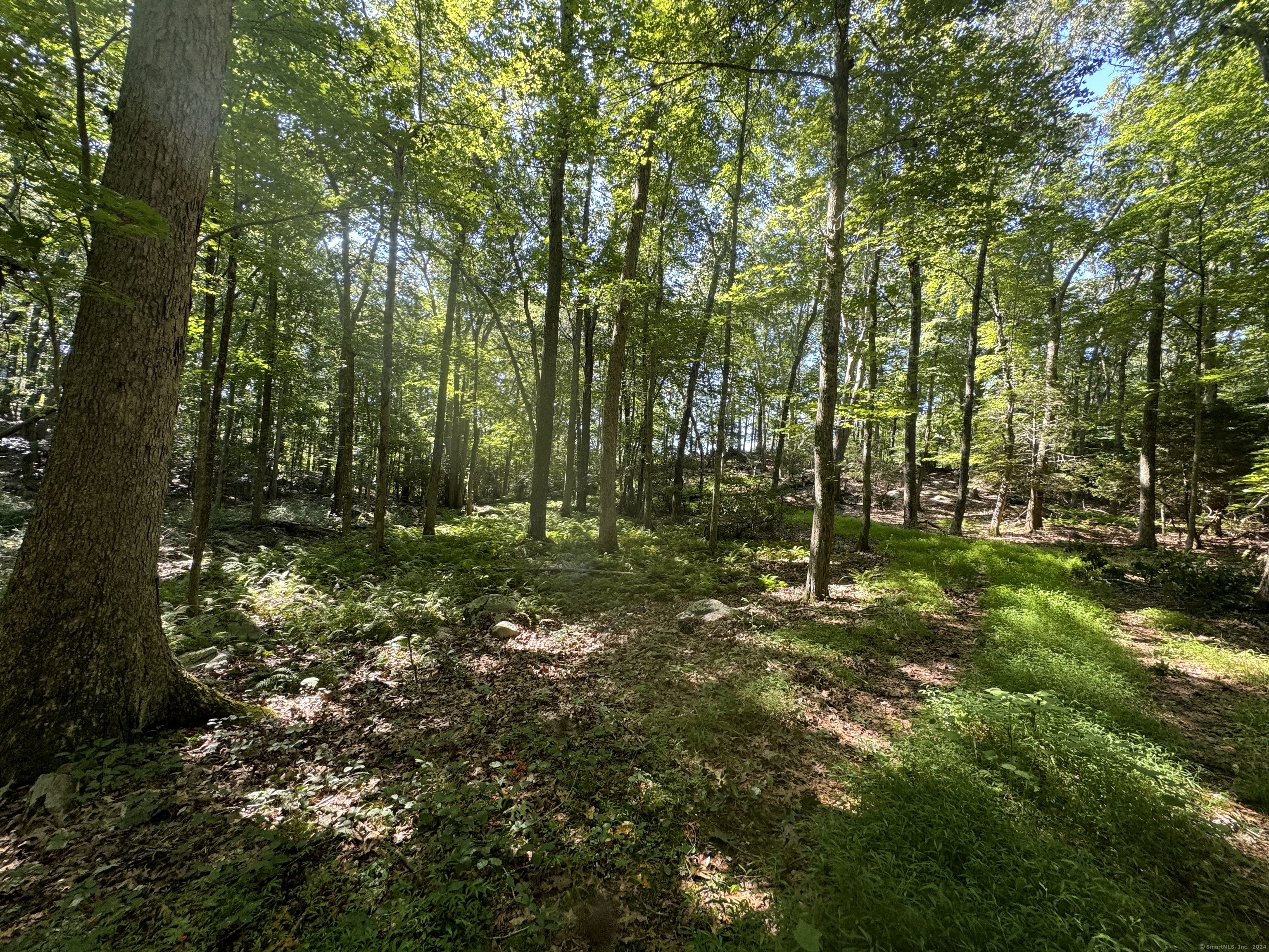 258 Joshuatown Road