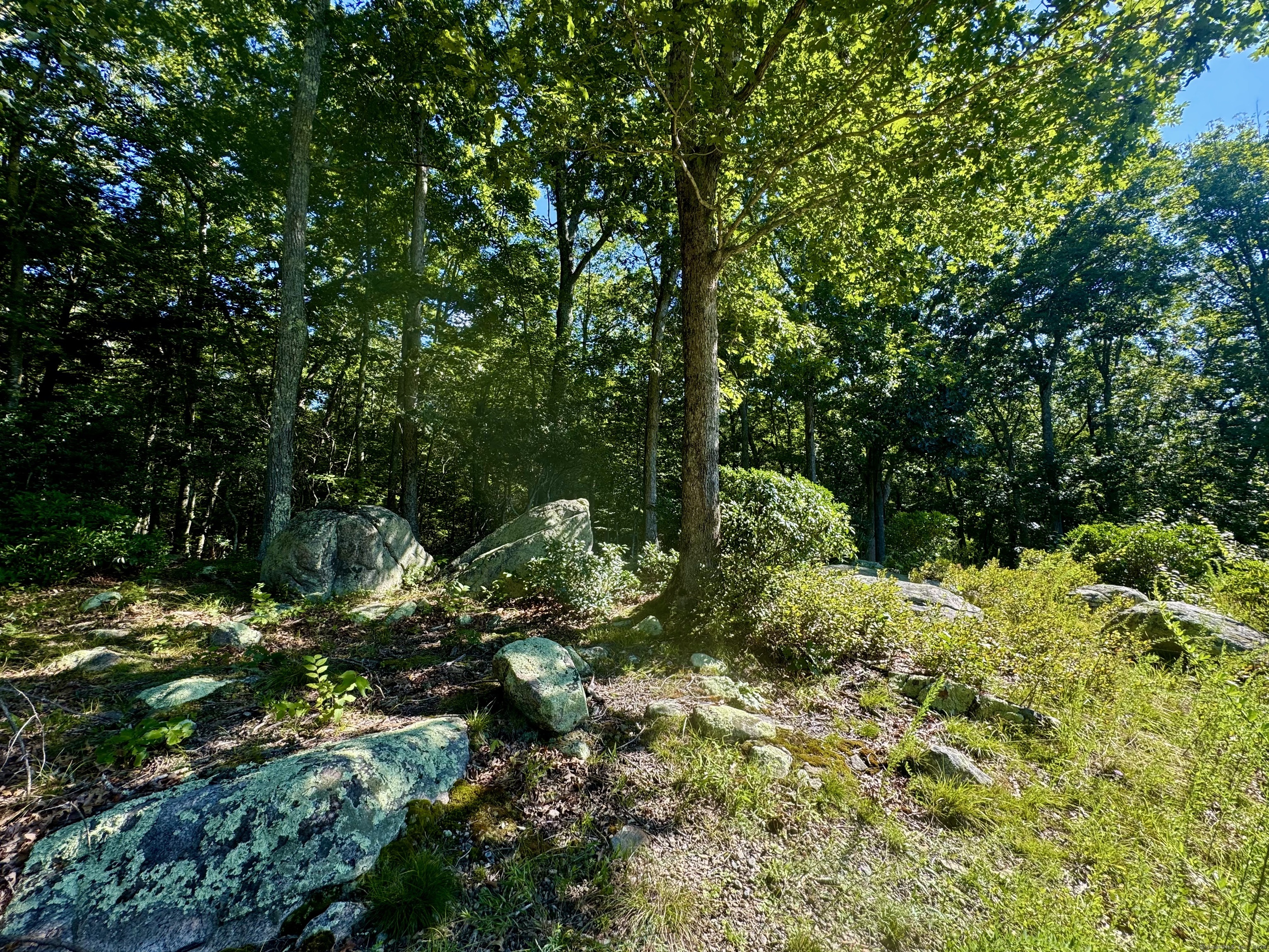 258 Joshuatown Road