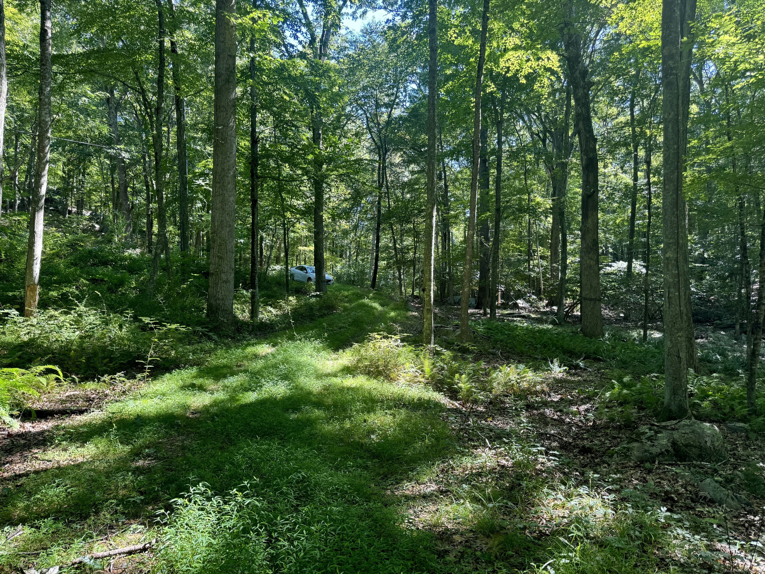 258 Joshuatown Road