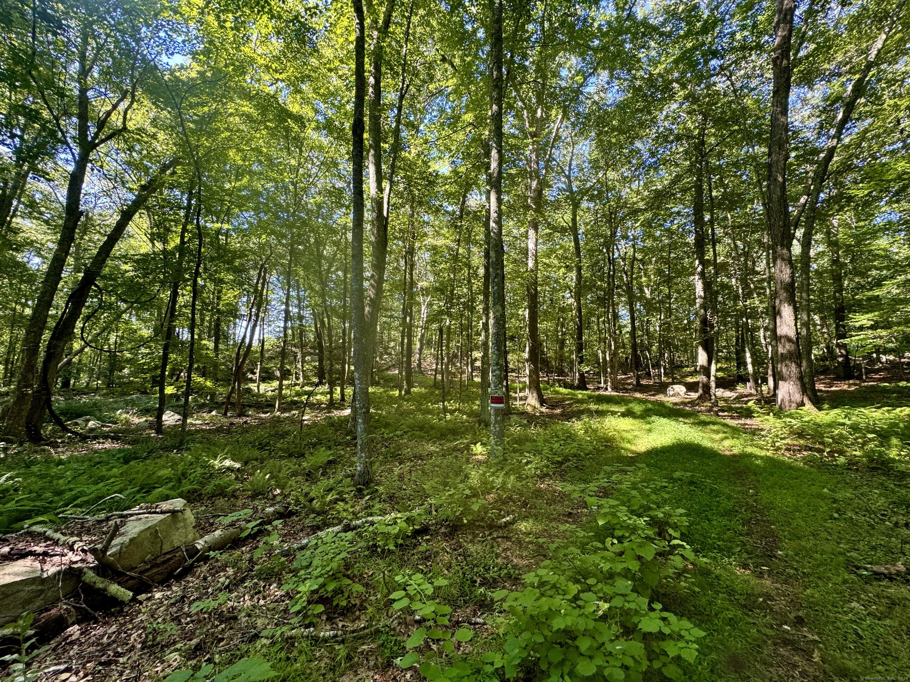 258 Joshuatown Road
