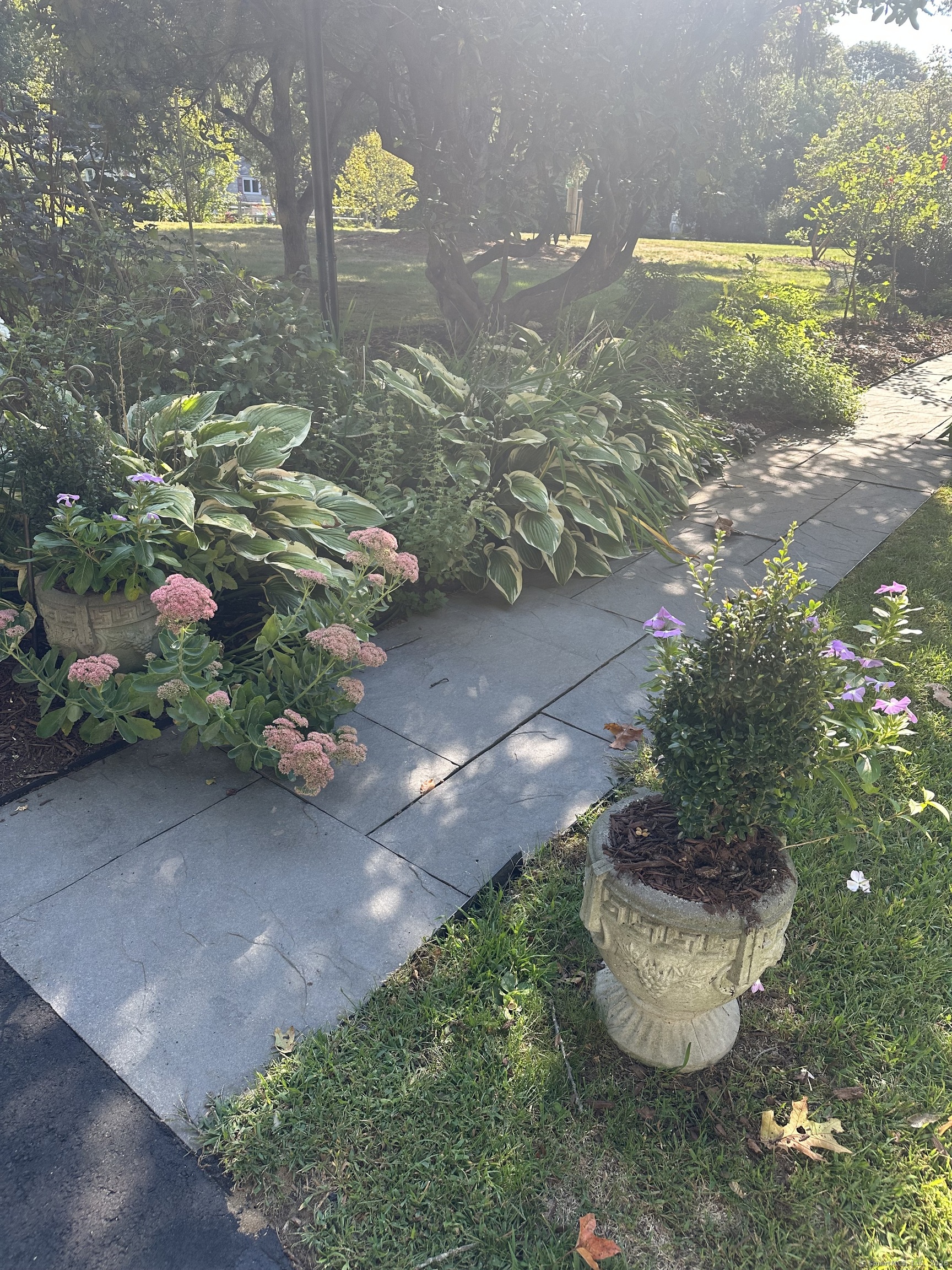 7 Madrina Lane