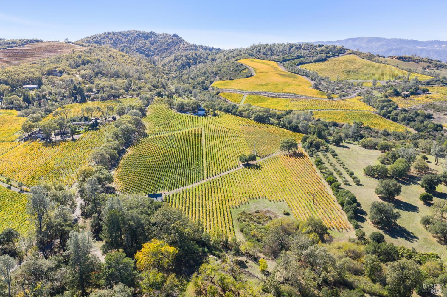 Aerial view of vineyard rows across rolling hills, with wooded areas and distant mountains.