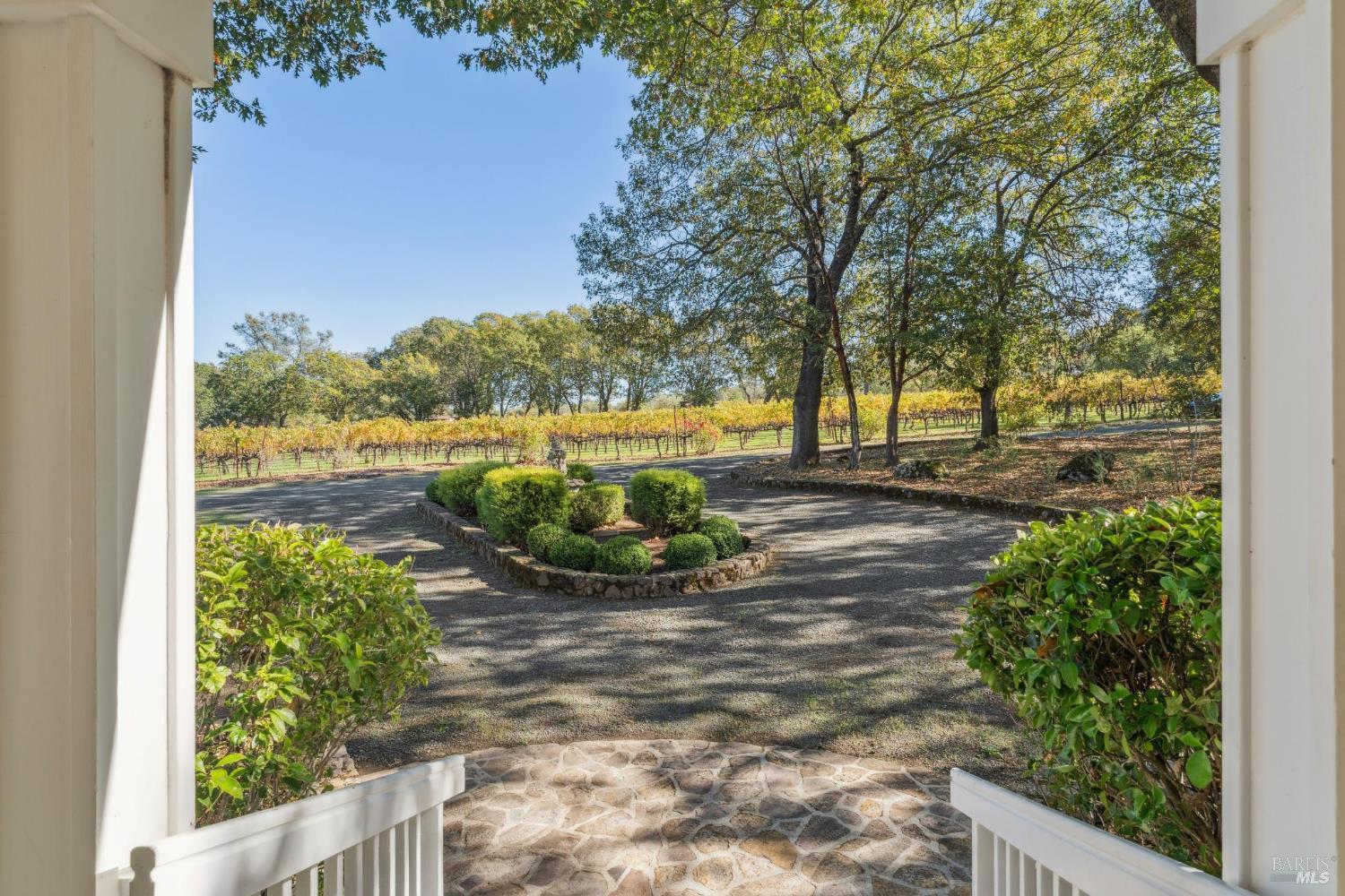 Vineyard rows beyond a shaded gravel driveway, viewed from a stone porch.