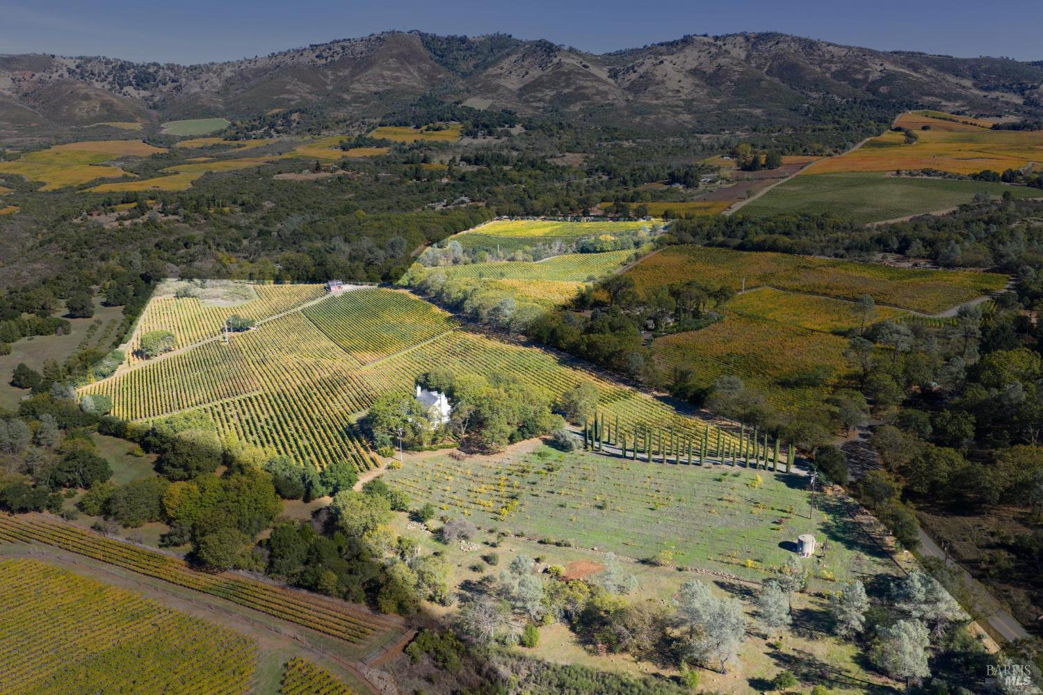 Aerial view of vineyard rows surrounding a white residence, with cypress trees and hills beyond.