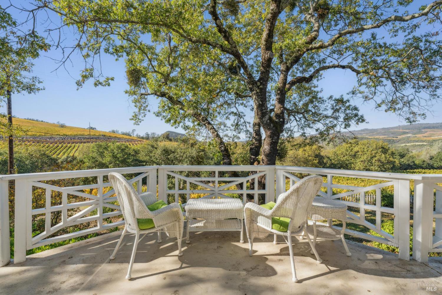 Furnished deck overlooking vineyard rows and rolling hills beneath a large tree.
