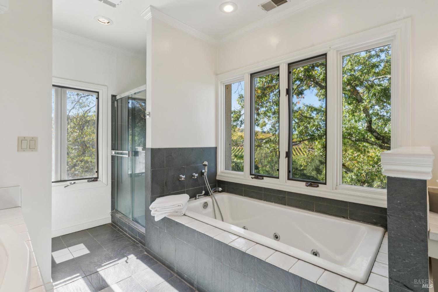 Bathroom with a jetted tub and glass shower beneath large windows overlooking trees and vineyard rows.