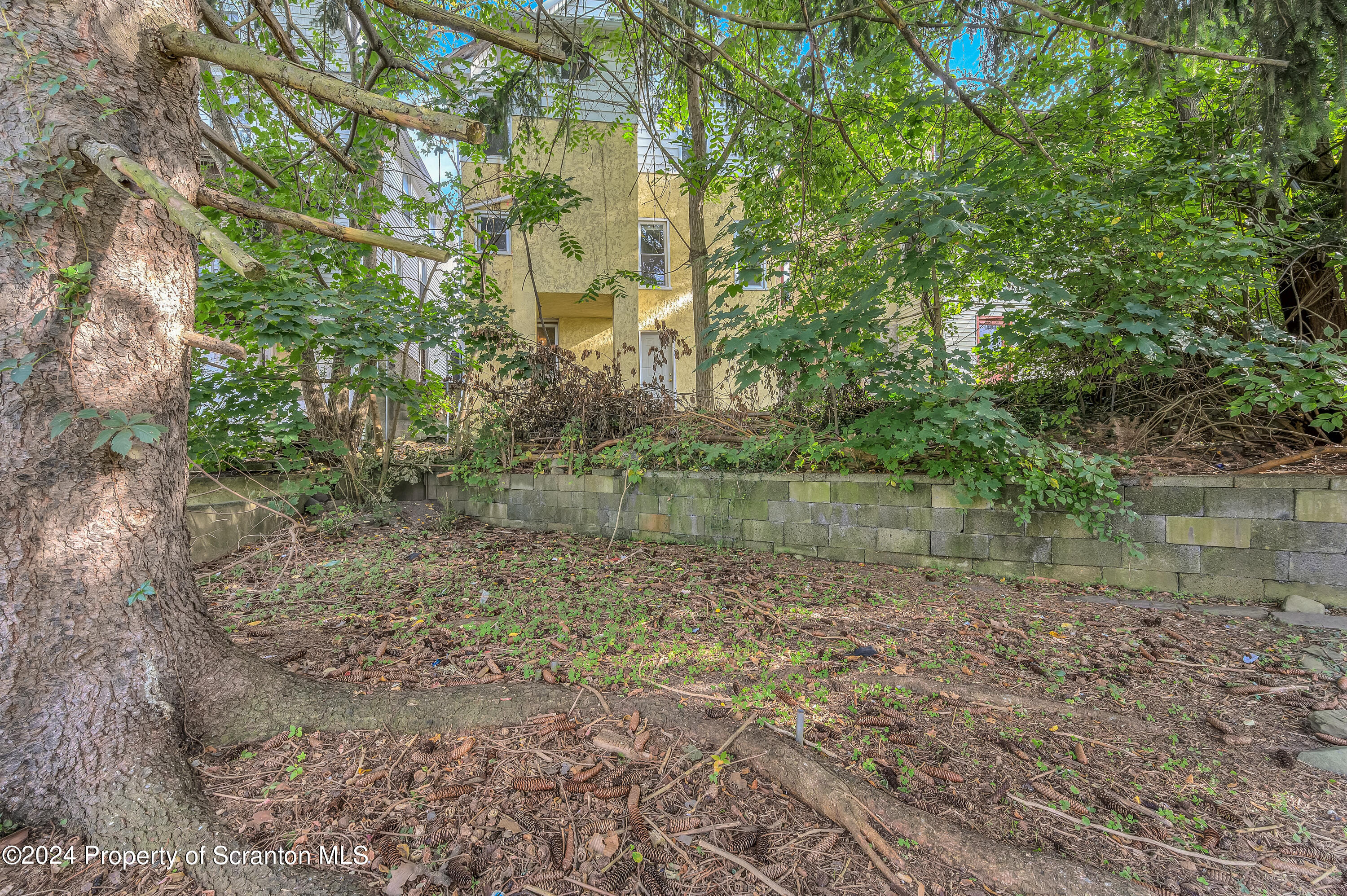 2507 Olyphant Avenue