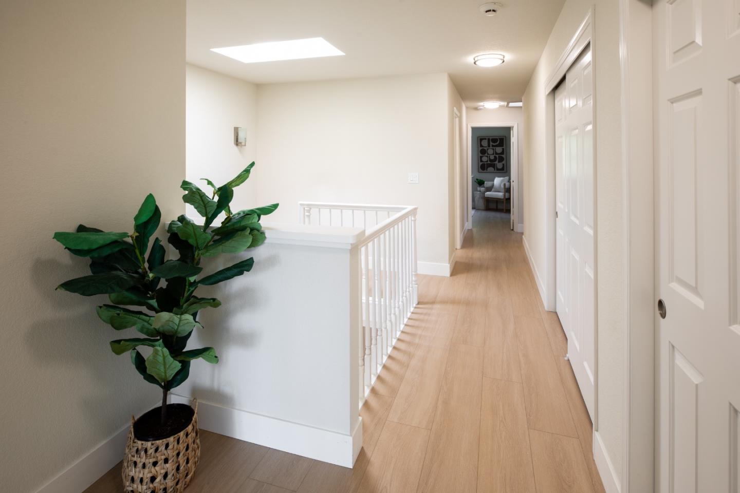 867 Norfolk Pine AVE