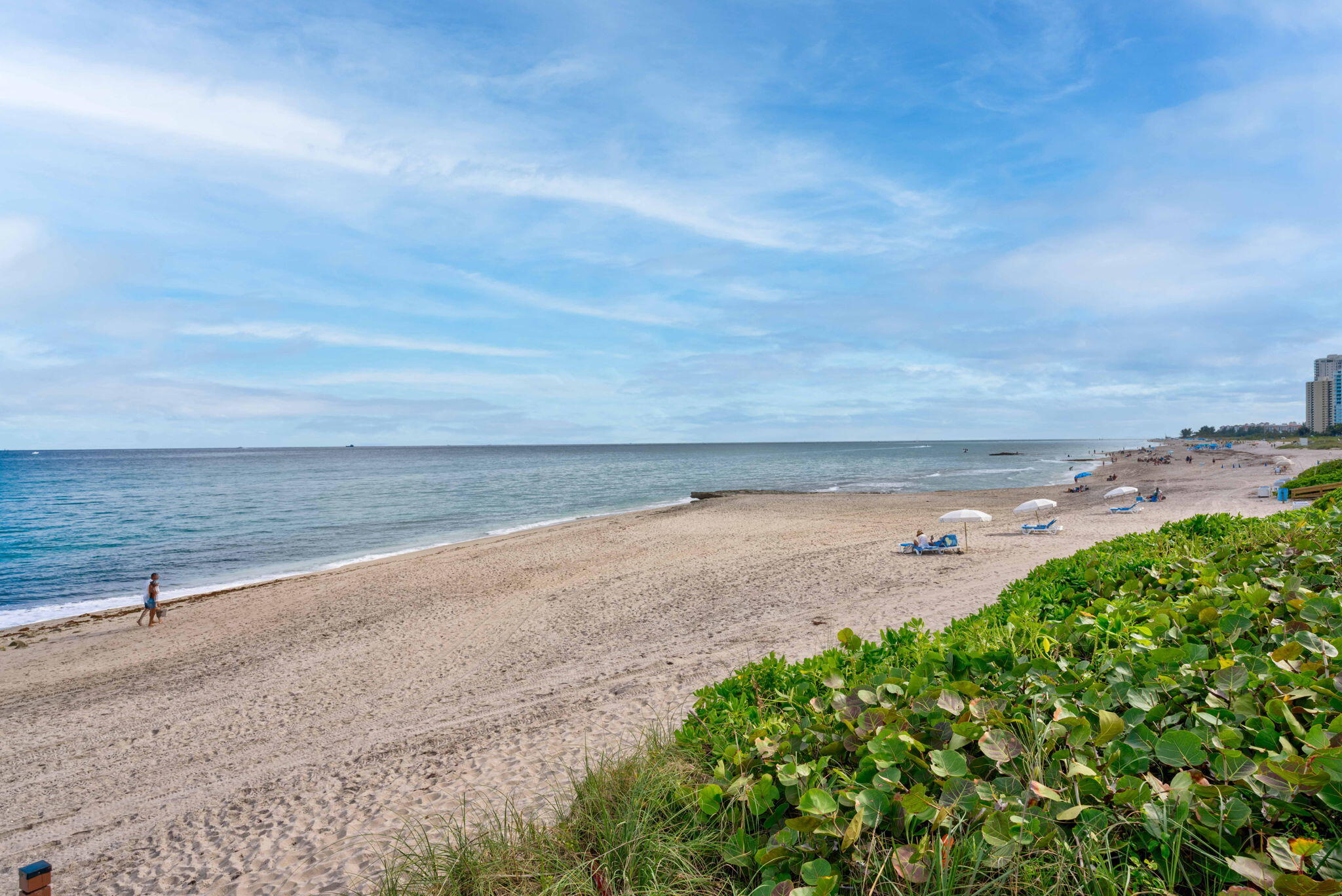 4100 N Ocean Drive 1201