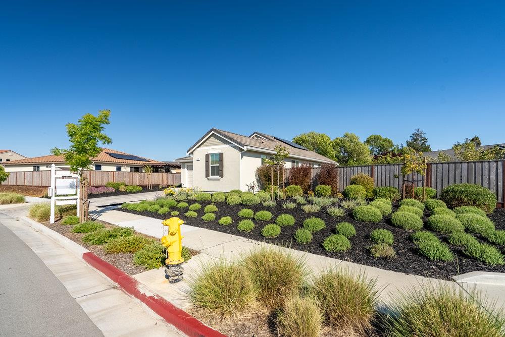2531 Ryan DR