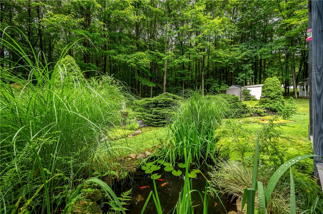 118 Hunter Ridge Road