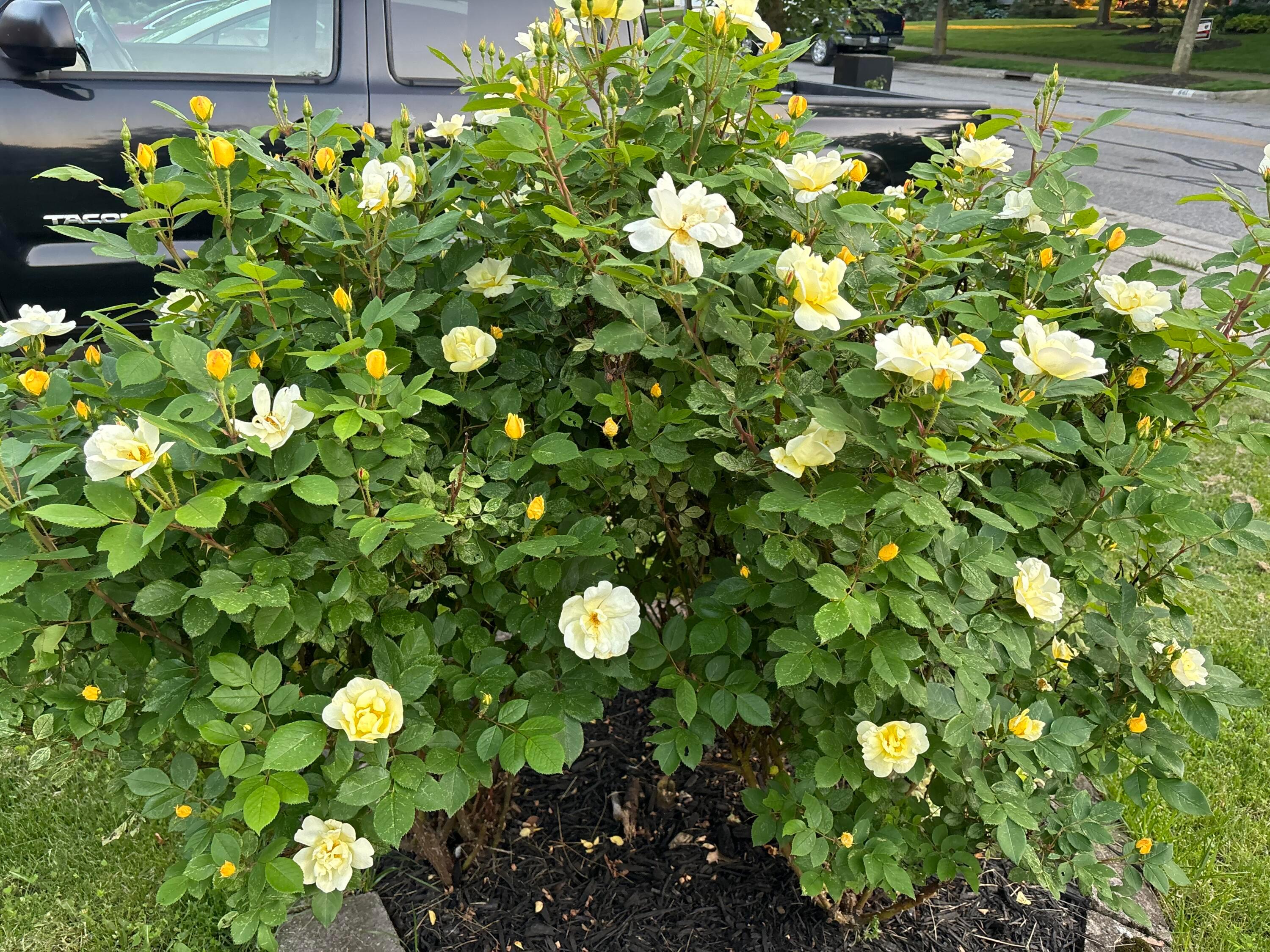 846 Executive Boulevard