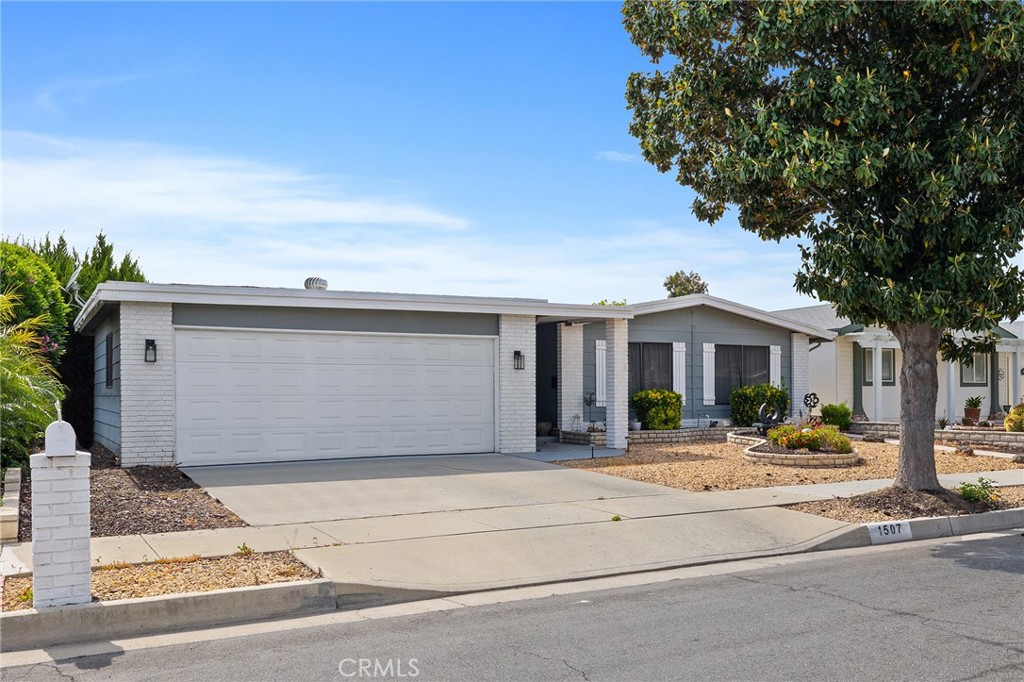 1507 Willow Leaf