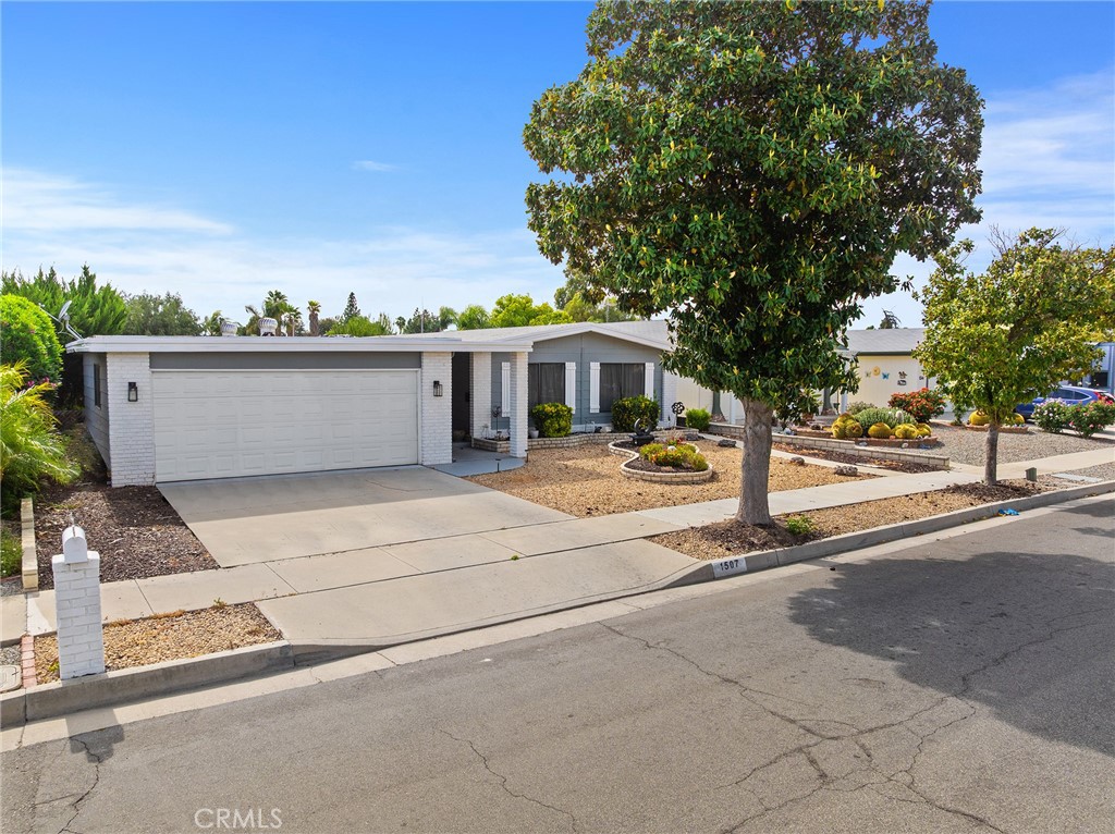 1507 Willow Leaf