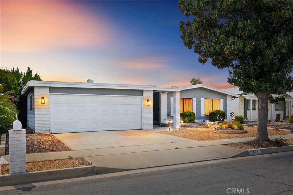 1507 Willow Leaf