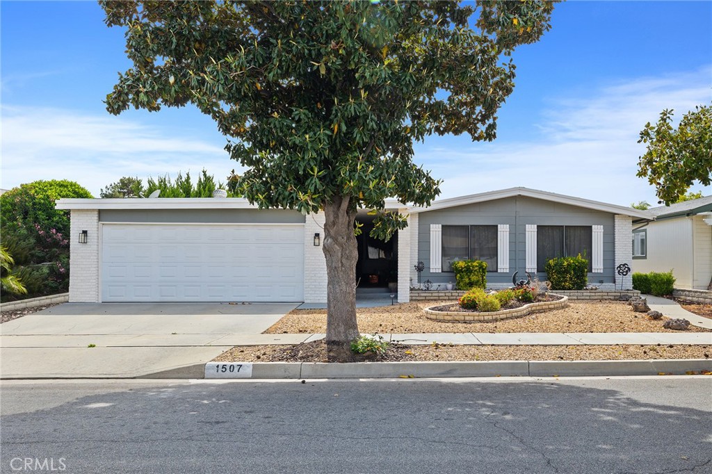 1507 Willow Leaf