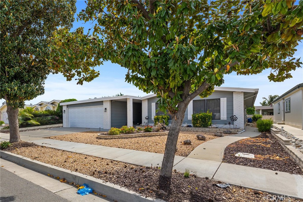 1507 Willow Leaf