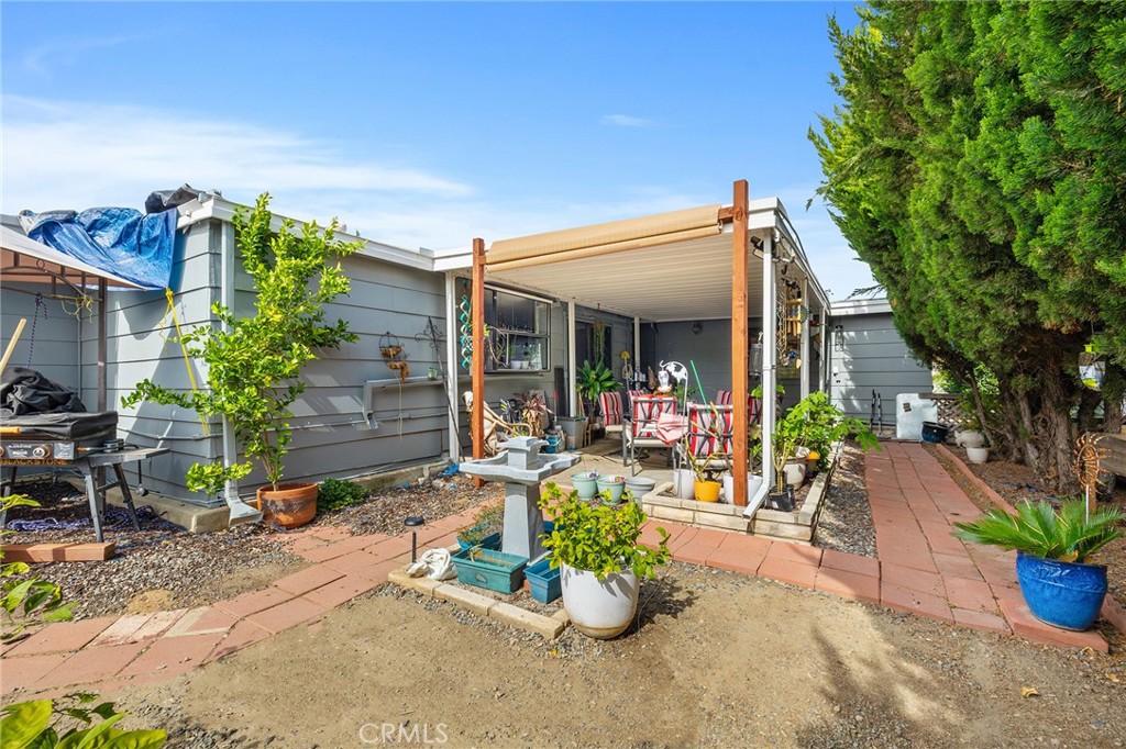 1507 Willow Leaf