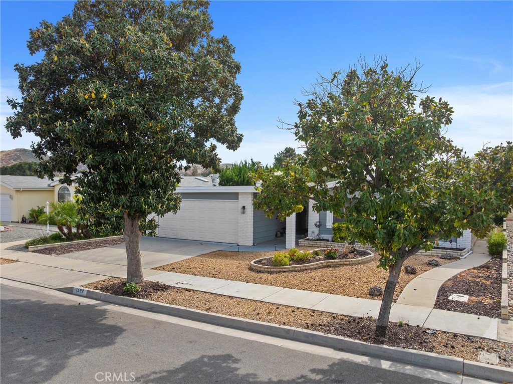1507 Willow Leaf