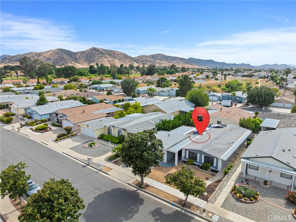 1507 Willow Leaf