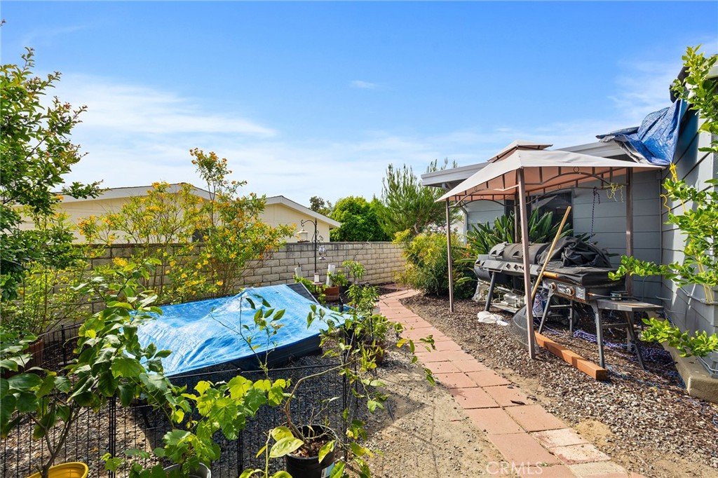 1507 Willow Leaf
