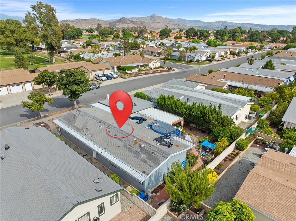 1507 Willow Leaf