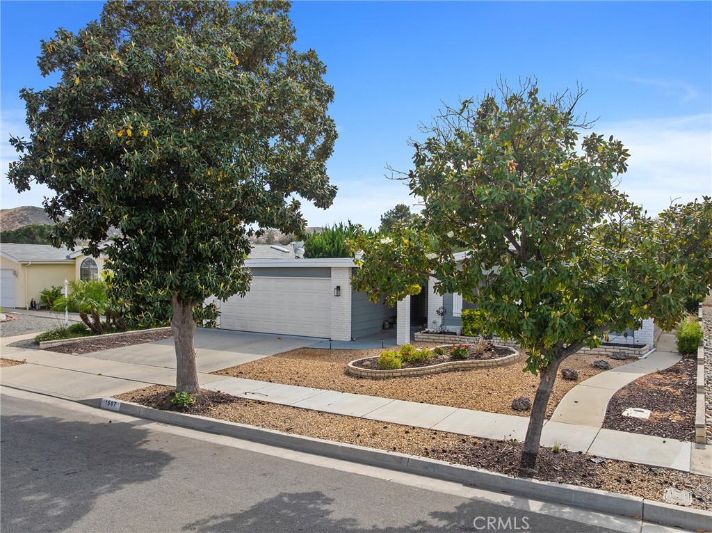 1507 Willow Leaf
