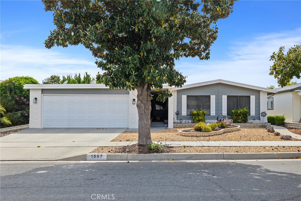 1507 Willow Leaf