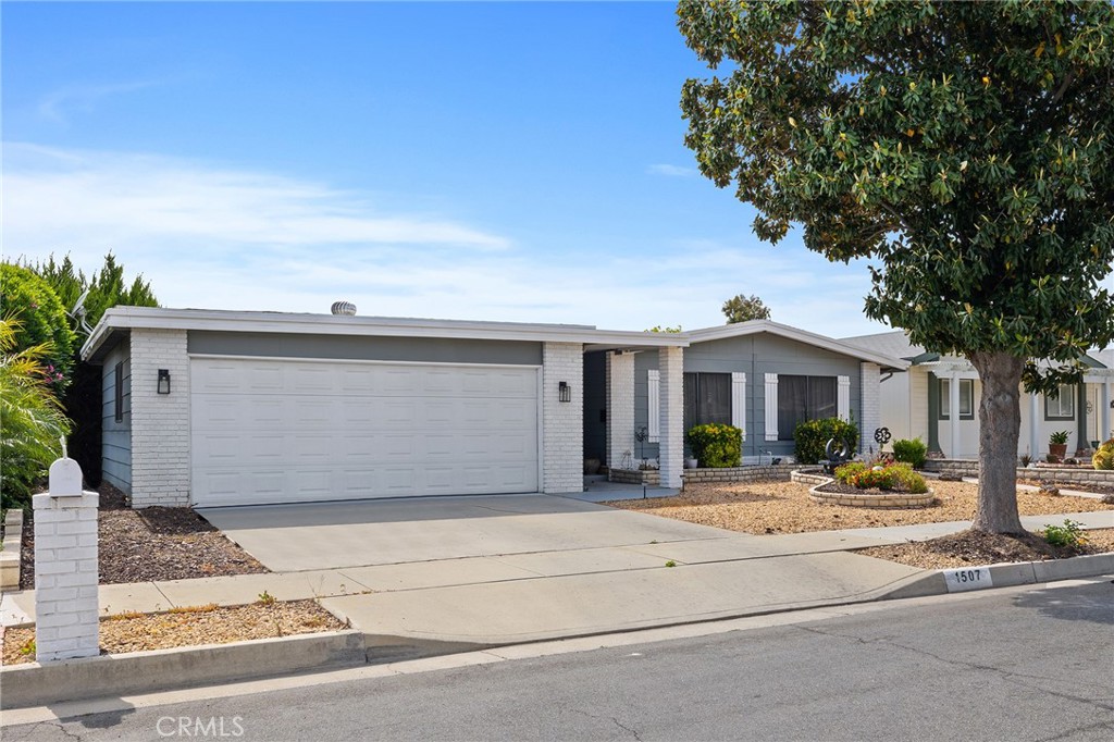 1507 Willow Leaf