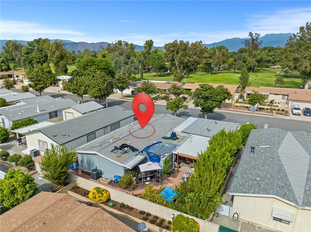 1507 Willow Leaf