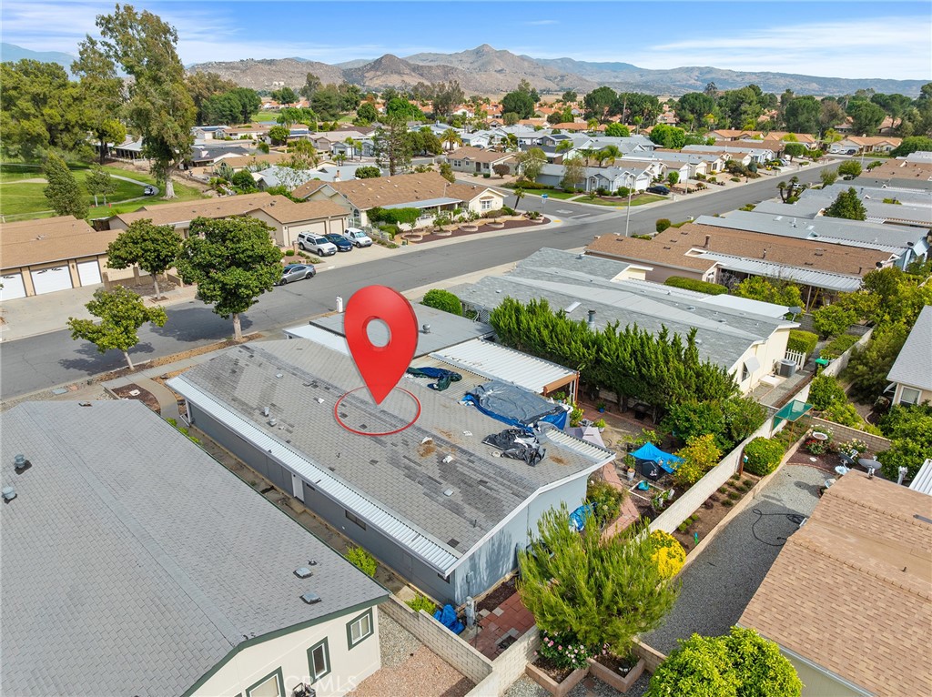 1507 Willow Leaf
