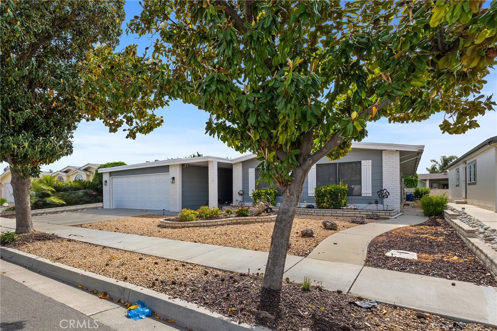 1507 Willow Leaf