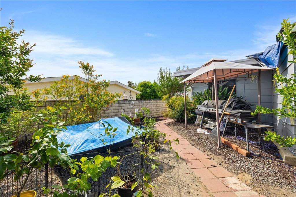 1507 Willow Leaf