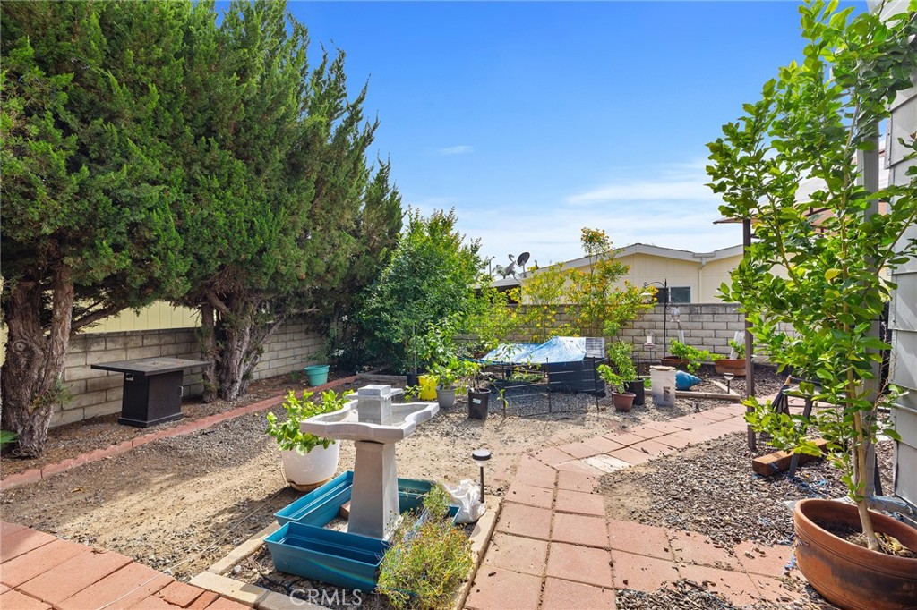 1507 Willow Leaf