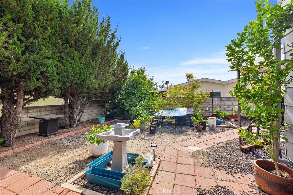 1507 Willow Leaf