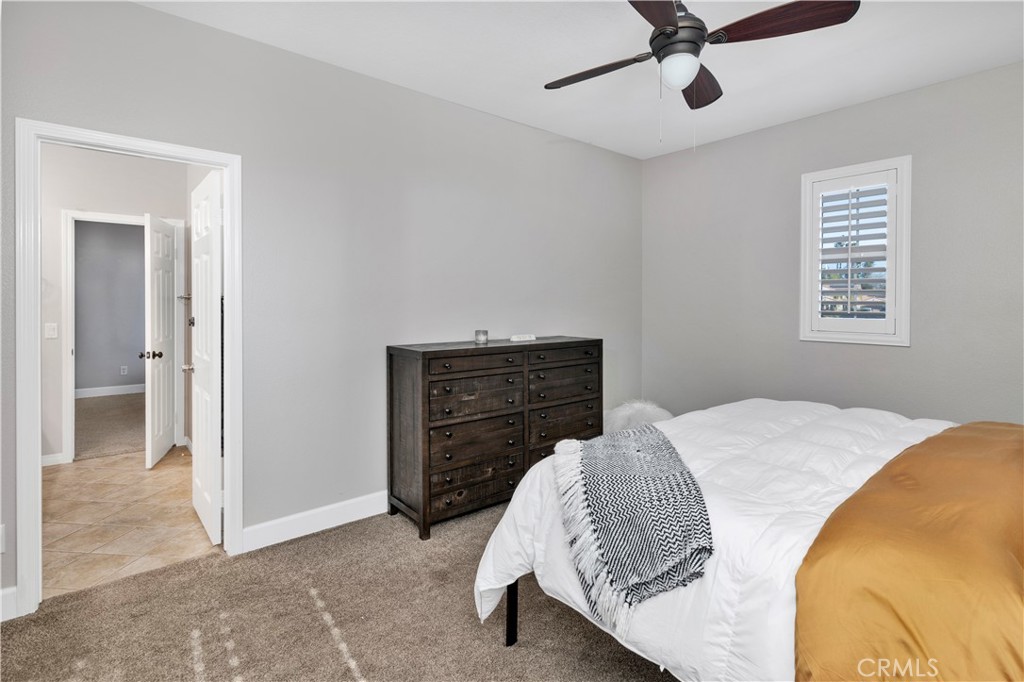 36929 Avocado Court
