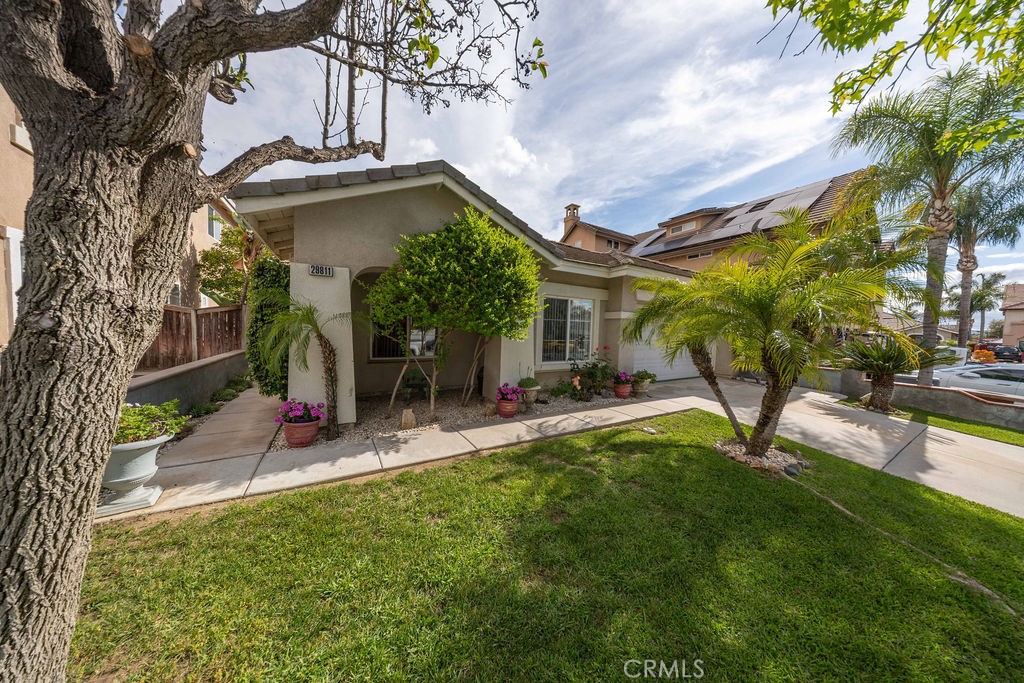 29811 Camden