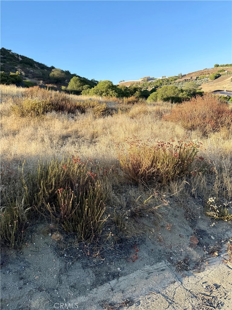 8 Via Vista Grande