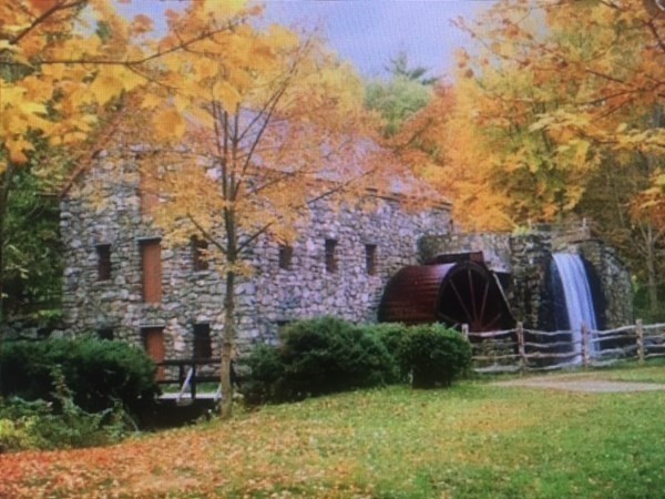 45 Widow Rites Lane