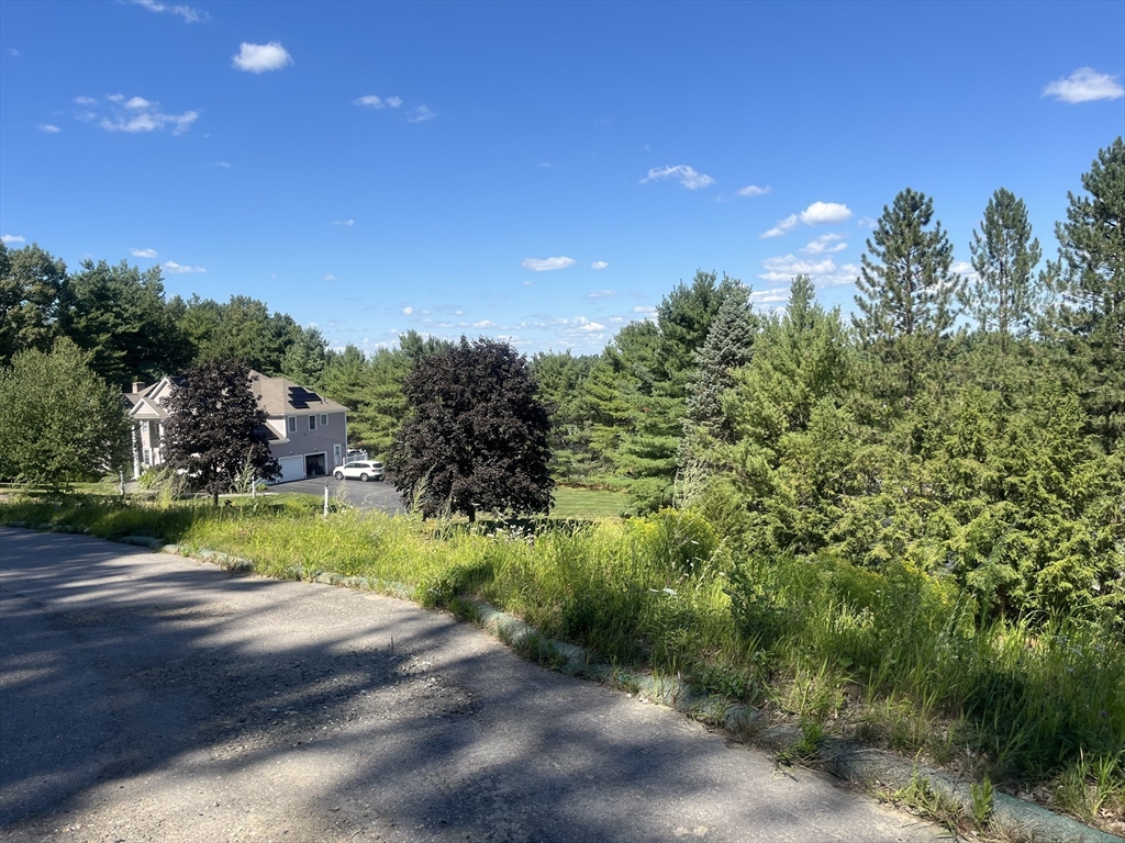 55 Widow Rites Lane