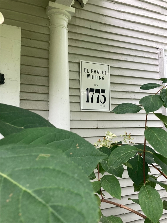 4 Elysium Street