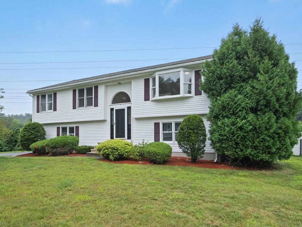 White split-level home with burgundy shutters, landscaped shrubs, and a large evergreen beside the front lawn.