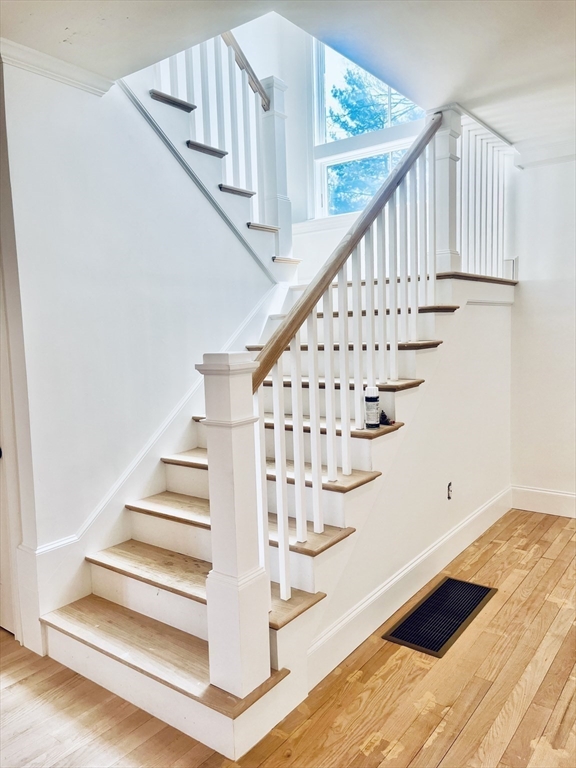 55 Widow Rites Ln