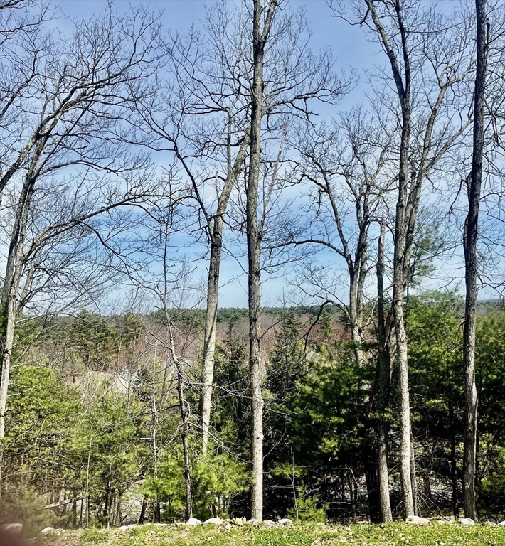 55 Widow Rites Ln