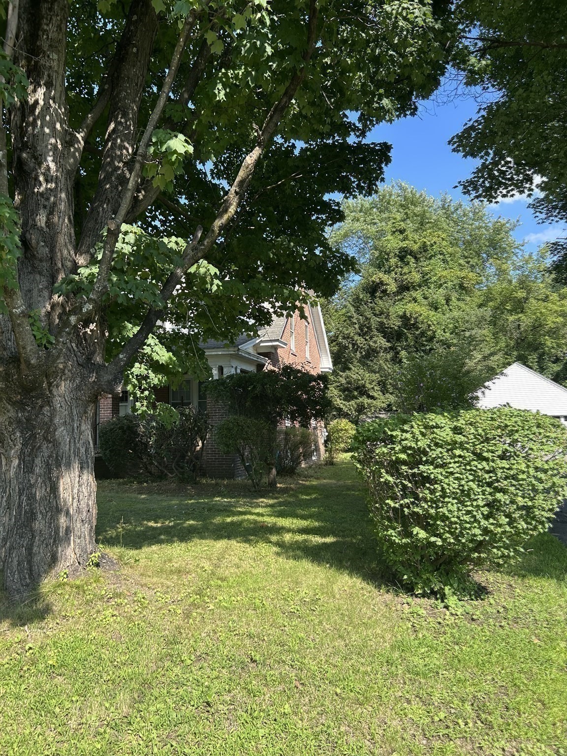 46 Walnut Street