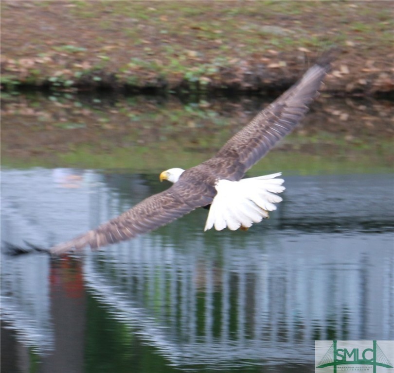 2 Pineheart Lane