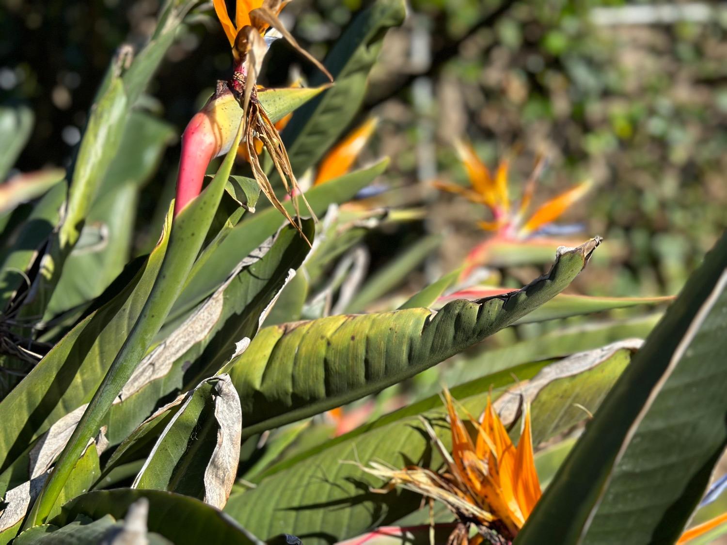 2716 Northview Drive