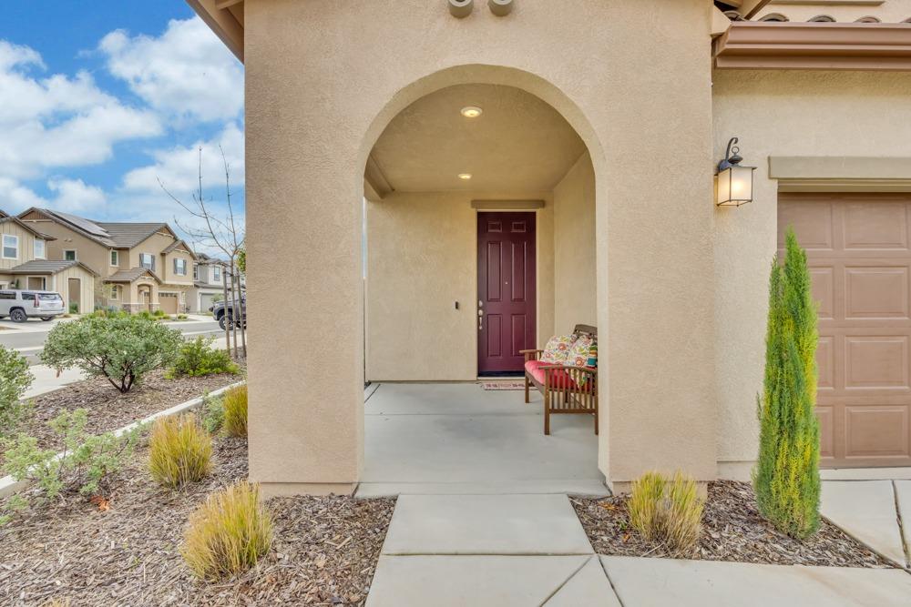 3241 Auburn Leaf Loop