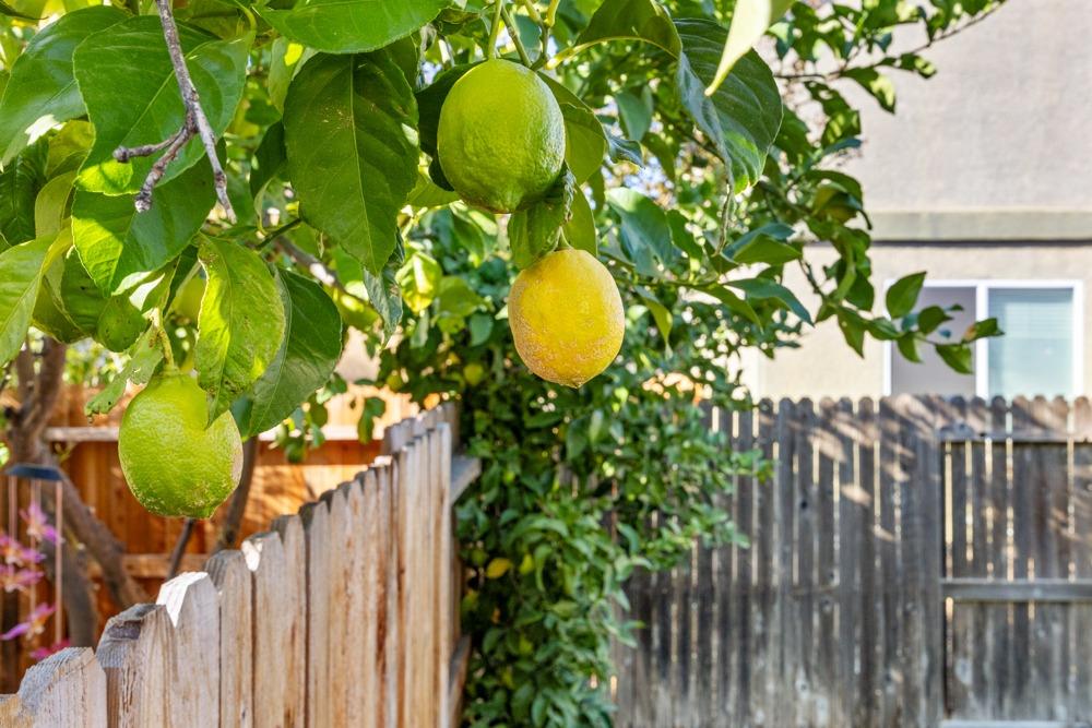 7522 Sun Castle Lane